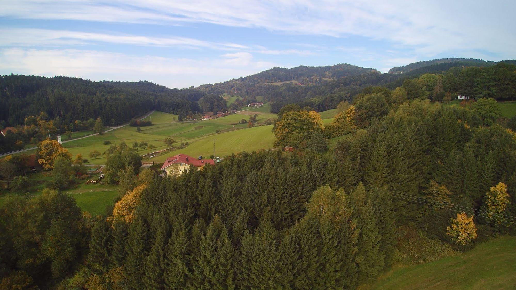 Village Hotel Bayerischer Wald Neukirchen  Buitenkant foto