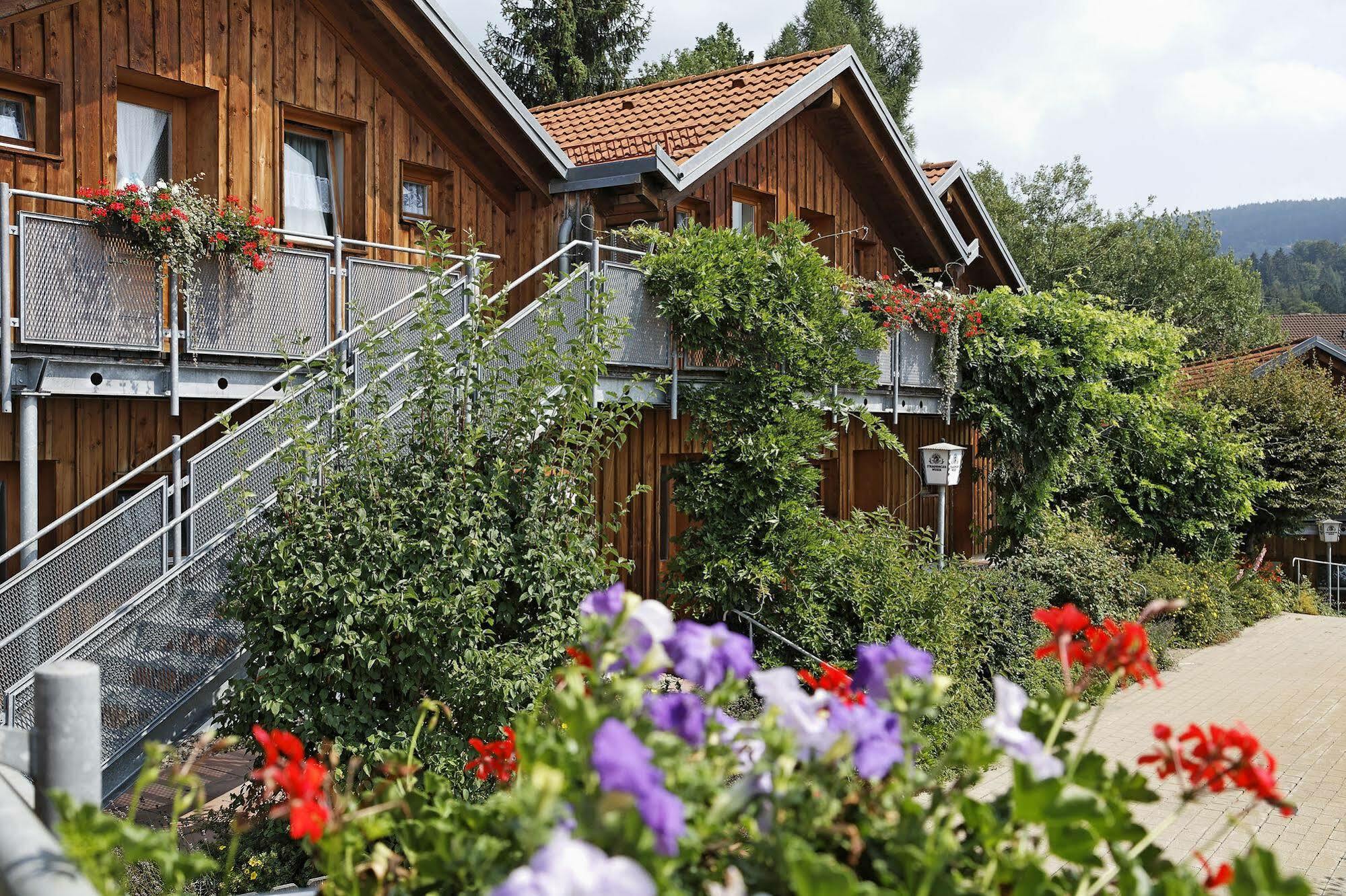 Village Hotel Bayerischer Wald Neukirchen  Buitenkant foto